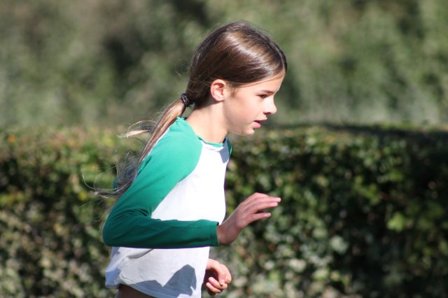 Cross Country Schullauf 2024